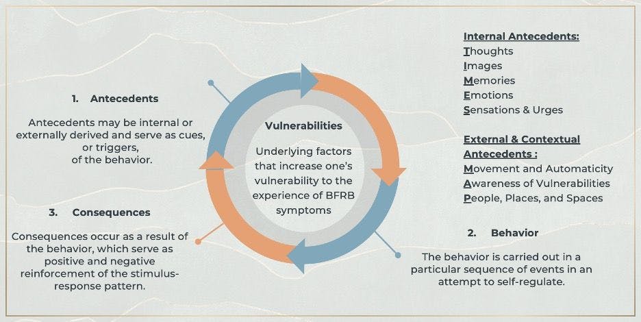 Table. The BFRB Reinforcement Cycle 